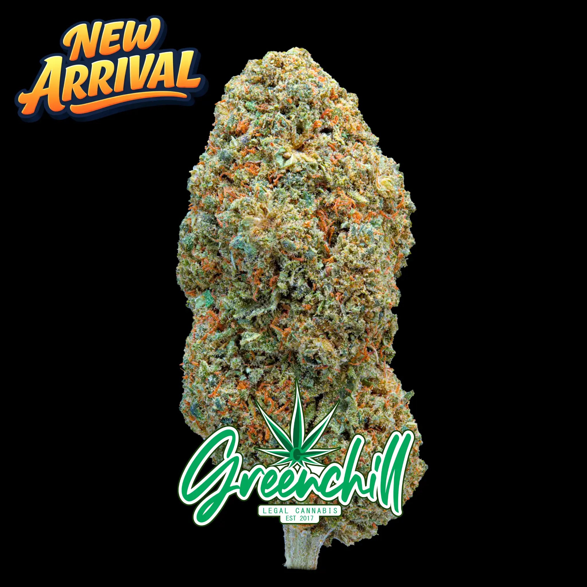 RASPBERRY CREEME INDOOR CBD Greenchill SARL