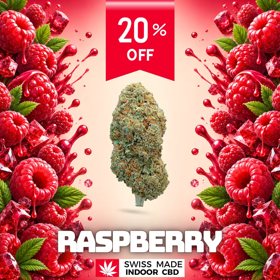 RASPBERRY CREEME INDOOR CBD Greenchill SARL