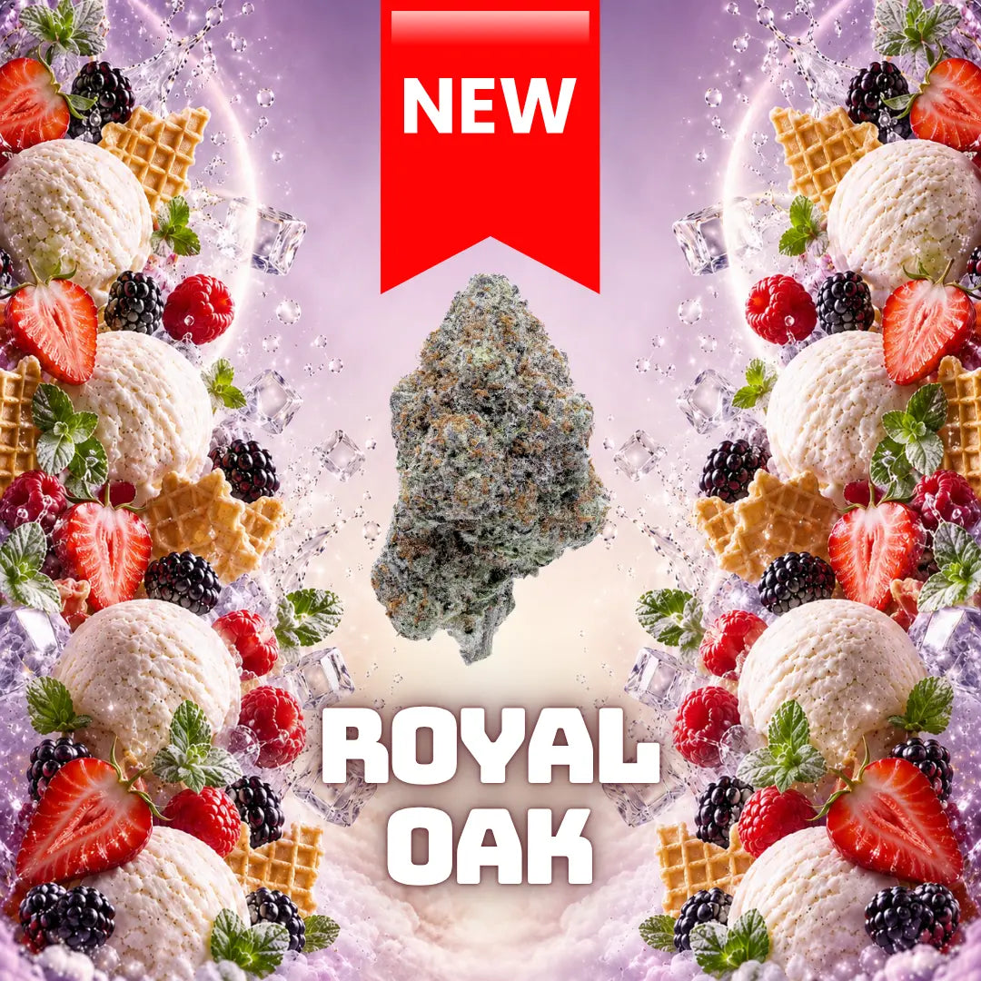 ROYAL OAK INDOOR CBD Greenchill SARL