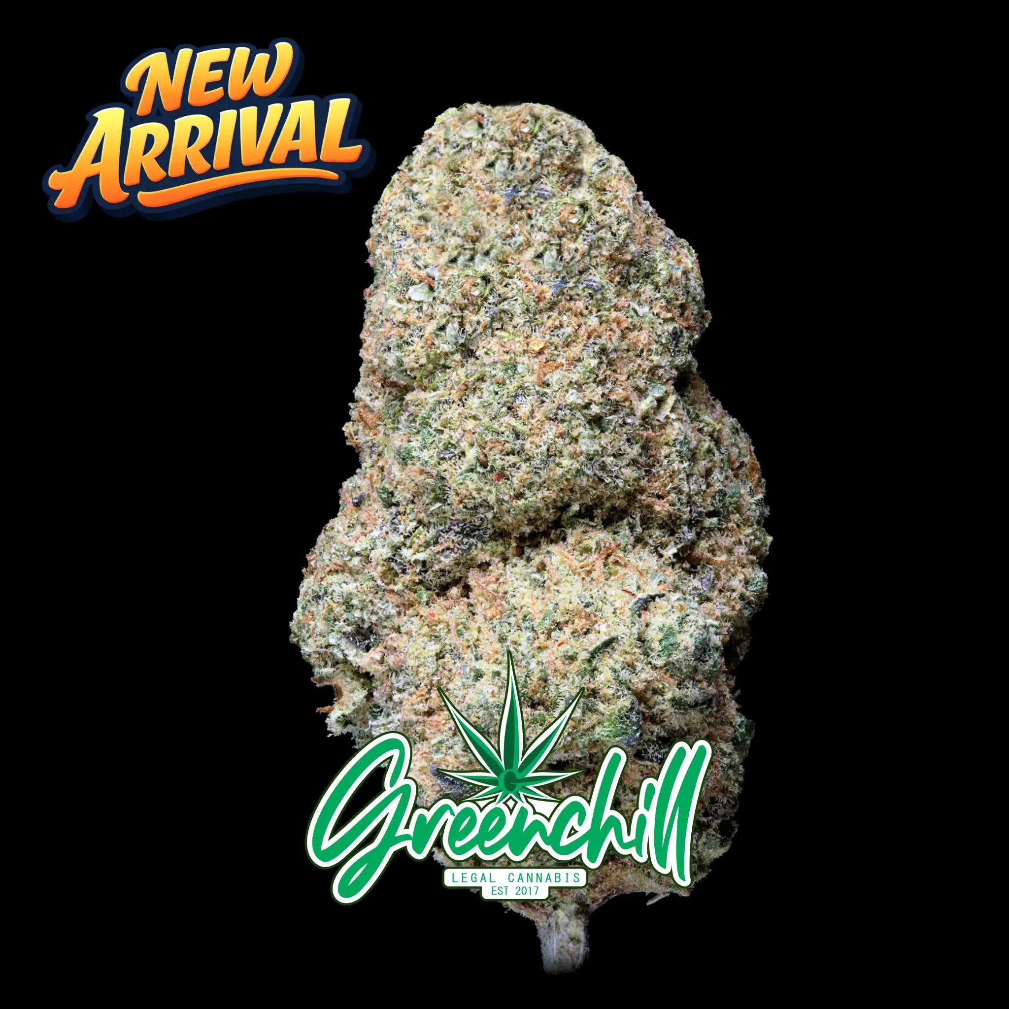 SHERBET INDOOR CBD Greenchill SARL