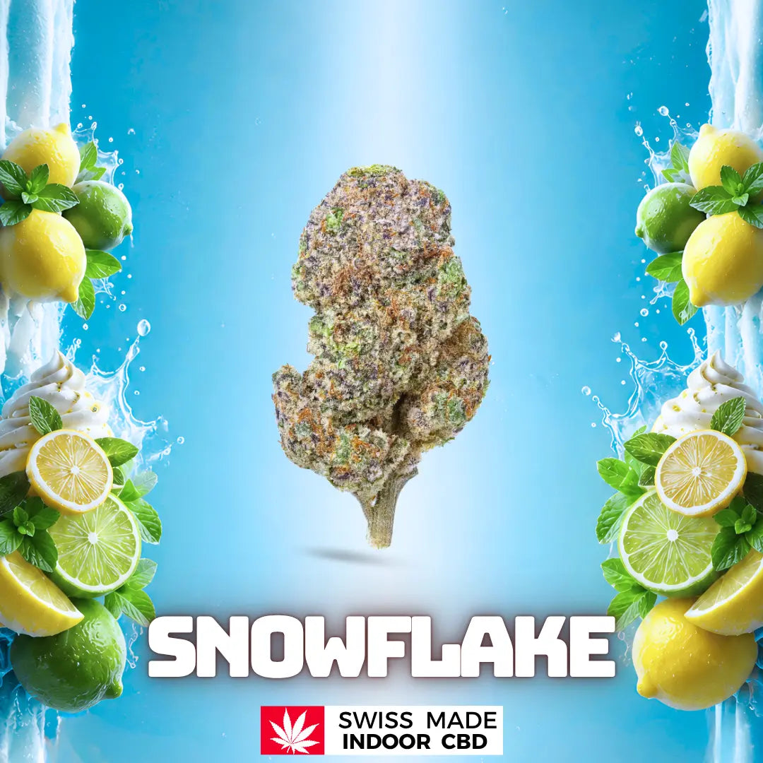 SNOWFLAKE INDOOR CBD Greenchill SARL