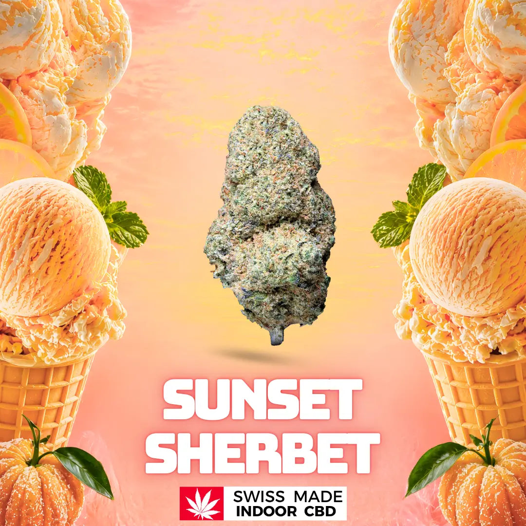 SUNSET SHERBET INDOOR CBD Greenchill SARL