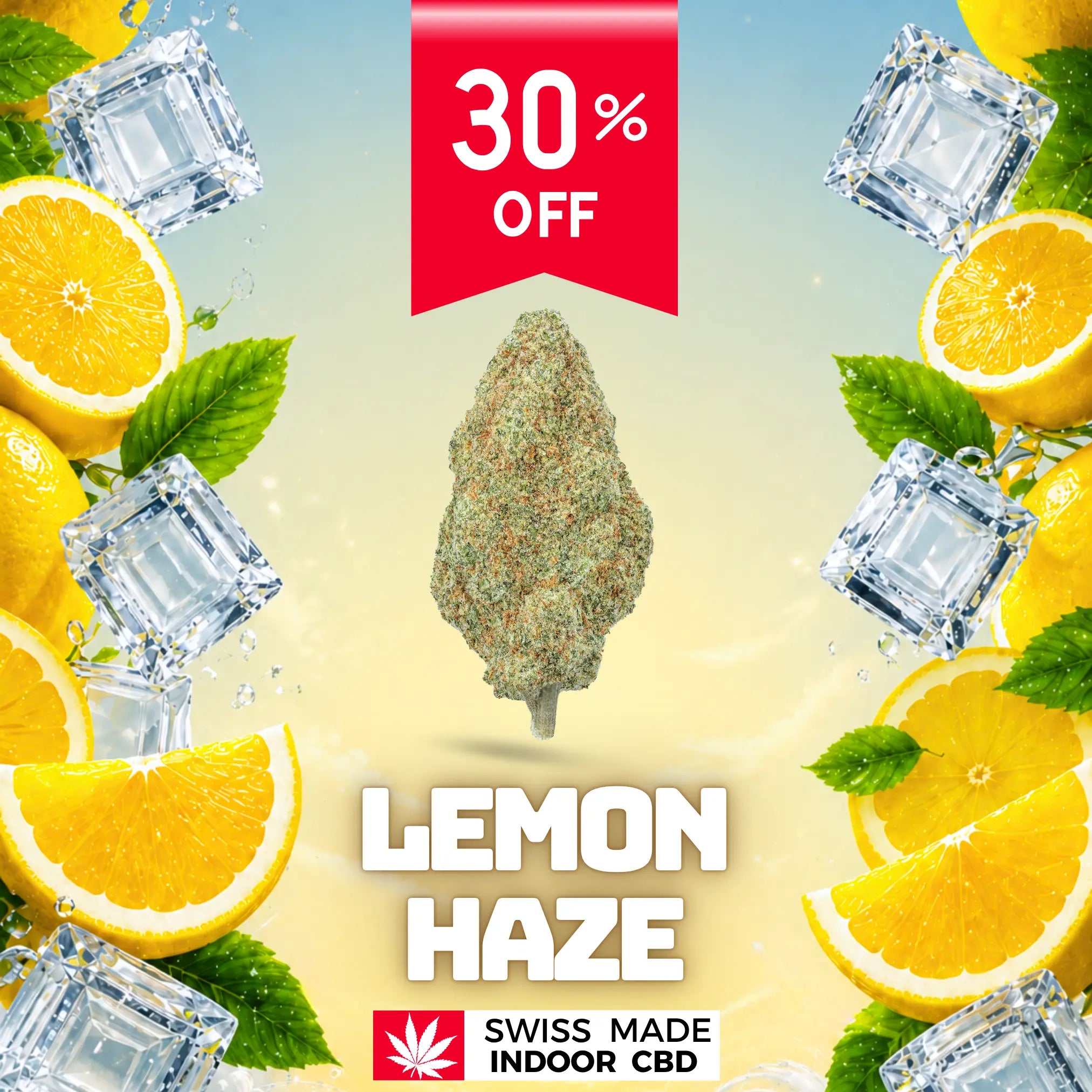 SUPER LEMON HAZE INDOOR CBD Greenchill SARL