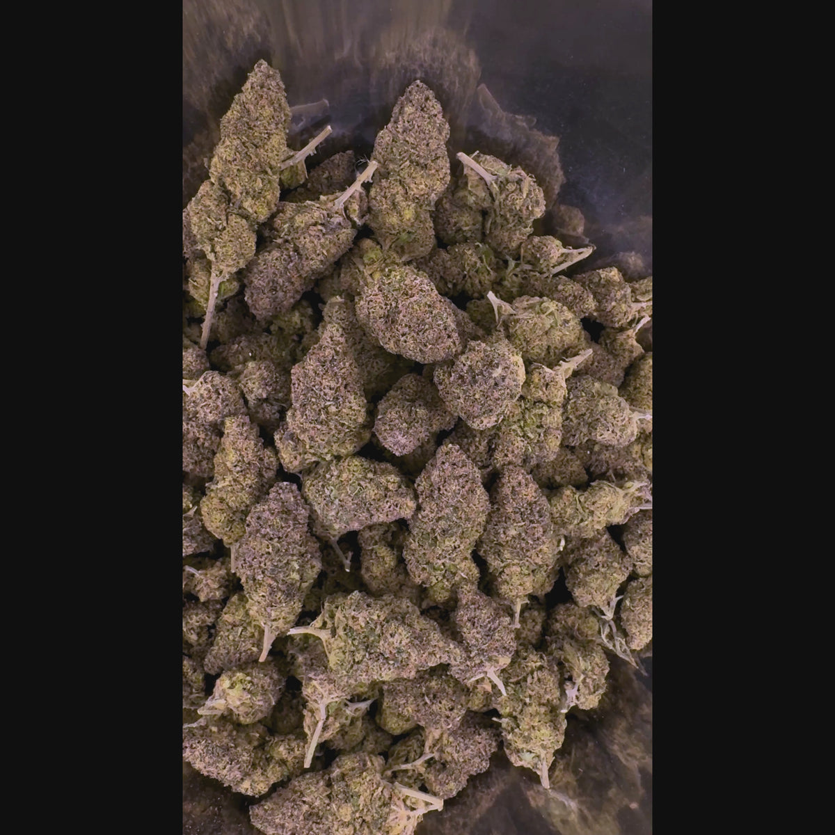 PLUTONIUM KUSH INDOOR CBD